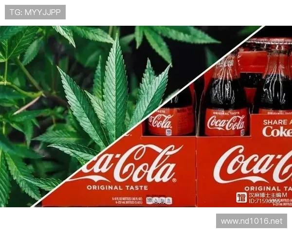 贝林厄姆家冰箱里塞满蛋白粉，连饮料都是算好卡路里的