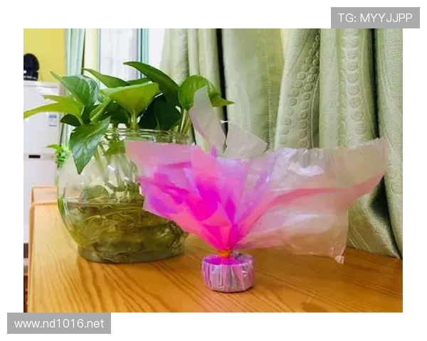 谌利军家里冰箱贴全是女儿画的举重小人